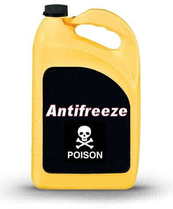 Yellow jug with antifreeze poison sign